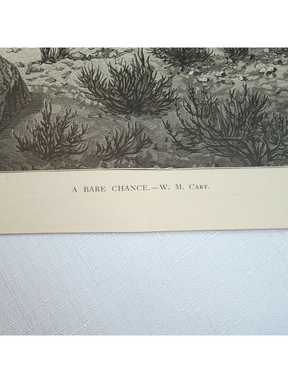 Antique 1874 Engraving Print A Bare Chance by W.M. Cary Aldine Western & Indian